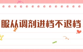 服從調(diào)劑進(jìn)檔不退檔：高考錄取的“安全鎖”