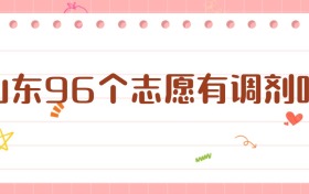 山東96個(gè)志愿有調(diào)劑嗎？別急，一文給你說清楚