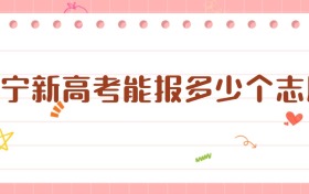 2026遼寧新高考能報多少個志愿？一篇文章說清楚