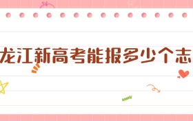 2026黑龍江新高考能報(bào)多少個(gè)志愿？各批次詳細(xì)解讀
