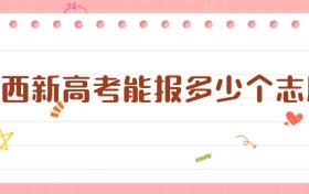 2026陜西新高考能報多少個志愿