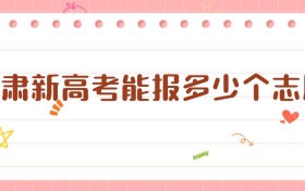 2026甘肅新高考能報(bào)多少個(gè)志愿