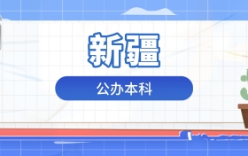 2026年公办本科在新疆录取分数及位次表：排名多少能上？