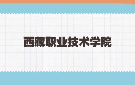 西藏职业技术学院定向士官2025年录取线:含招生计划