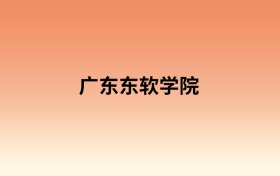 广东东软学院中外合作办学有哪些专业?值得报考吗?附招生计划