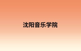 沈阳音乐学院中外合作办学有哪些专业?值得报考吗