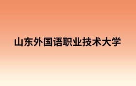山东外国语职业技术大学中外合作办学有哪些专业?值得报考吗
