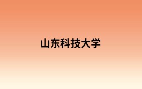 山东科技大学中外合作办学有哪些专业？值得报考吗？附招生计划