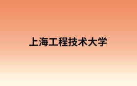 上海工程技术大学中外合作办学有哪些专业？值得报考吗