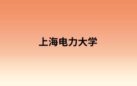 上海电力大学中外合作办学有哪些专业？值得报考吗？附招生计划