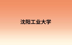 沈阳工业大学中外合作办学有哪些专业?值得报考吗?附招生计划