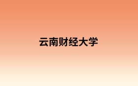 云南财经大学中外合作办学有哪些专业?值得报考吗?附招生计划