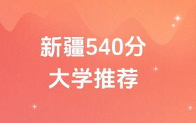 新疆540分的双一流、211、985大学排名(含高考理科数据)