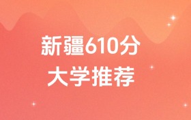 新疆610分的双一流、211、985大学排名(含高考理科数据)
