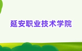 2025年延安职业技术学院定向士官录取分数线汇总(2026参考)