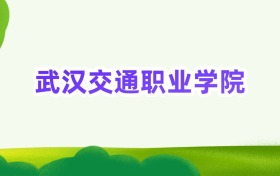 2025年武汉交通职业学院定向士官录取分数线汇总(2026参考)