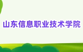 2025年山东信息职业技术学院定向士官录取分数线汇总(2026参考)