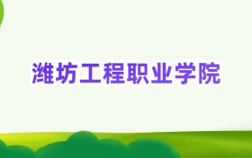2025年潍坊工程职业学院定向士官录取分数线汇总(2026参考)