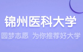 2025錦州醫(yī)科大學王牌專業(yè)名單：含分數線與認可度最高的專業(yè)