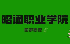 211大学最新排名一览表（116所）