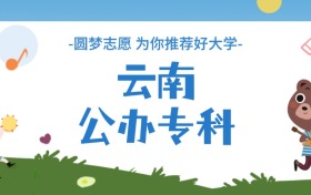 云南公辦專科大學分數線一覽表（2025年參考）