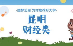 昆明財經類大學分數線一覽表（2025年參考）