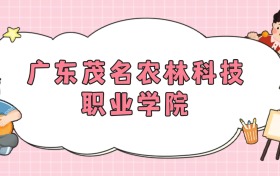 211大學(xué)最新排名一覽表（116所）