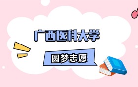 广西医科大学招生计划人数、本专科学费及代码（2026年参考）