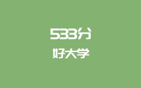 533分能上什么大學(xué)？附211大學(xué)名單（2026高考）