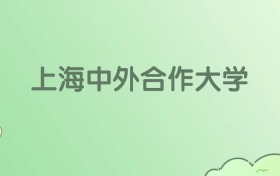 2026年上海中外合作大学名单（含录取分数线）