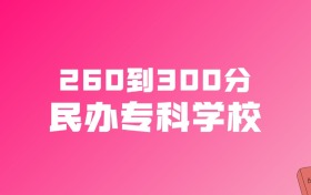 260到300分的民办专科学校名单（多省汇总）