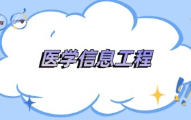安徽医学信息工程专业最好的大学排名及分数线（2026年参考）