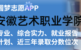 安徽艺术职业学院排名及录取分数线是多少？附全国最低分一览表