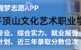 平顶山文化艺术职业学院排名及录取分数线是多少？附全国最低分一览表