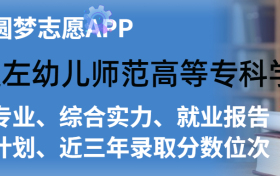 崇左幼儿师范高等专科学校排名及录取分数线是多少？附全国最低分一览表