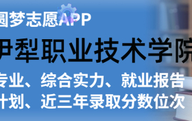 伊犁职业技术学院排名及录取分数线是多少？附全国最低分一览表