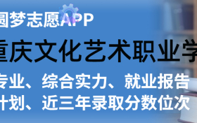 重庆文化艺术职业学院排名及录取分数线是多少？附全国最低分一览表