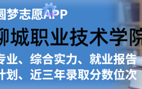 聊城职业技术学院排名及录取分数线是多少？附全国最低分一览表