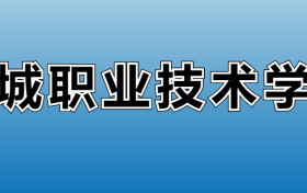 聊城职业技术学院专业录取分数线：王牌专业最低分位次排名