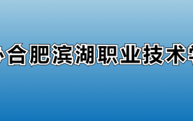 民办合肥滨湖职业技术学院专业录取分数线：王牌专业最低分位次排名