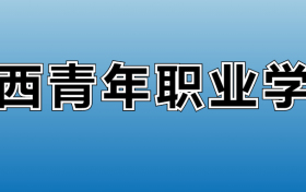 陕西青年职业学院专业录取分数线：王牌专业最低分位次排名