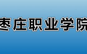 枣庄职业学院专业录取分数线：王牌专业最低分位次排名