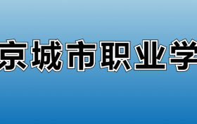 南京城市职业学院专业录取分数线：王牌专业最低分位次排名