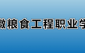 安徽粮食工程职业学院专业录取分数线：王牌专业最低分位次排名