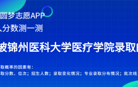 锦州医科大学医疗学院广西录取分数线2022年是多少？附最低位次排名