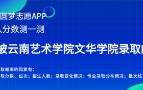 云南艺术学院文华学院四川录取分数线2022年是多少？附最低位次排名