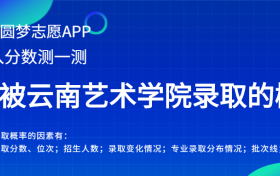 云南艺术学院安徽录取分数线2022年是多少？附最低位次排名