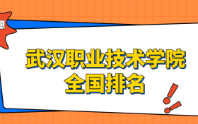 武汉职业技术学院排名全国第几位？在湖北排多少名？