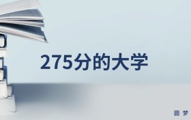 新疆275分左右的文科大學推薦（2026年高考參考）