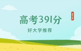 重慶391分左右的公辦大專學(xué)校推薦（2026年高考參考）
